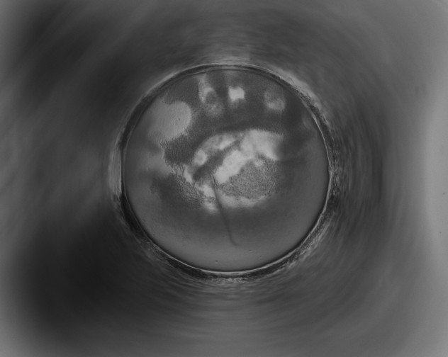 X0000087511223200705180948