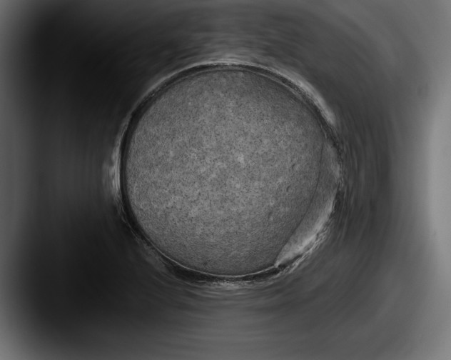 X0000087511224200705180948