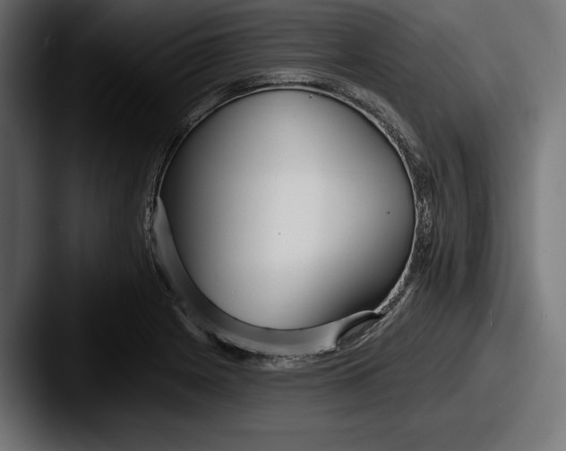 X0000087511225200705180948