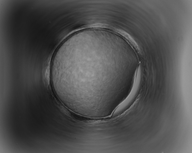 X0000087511228200705180948