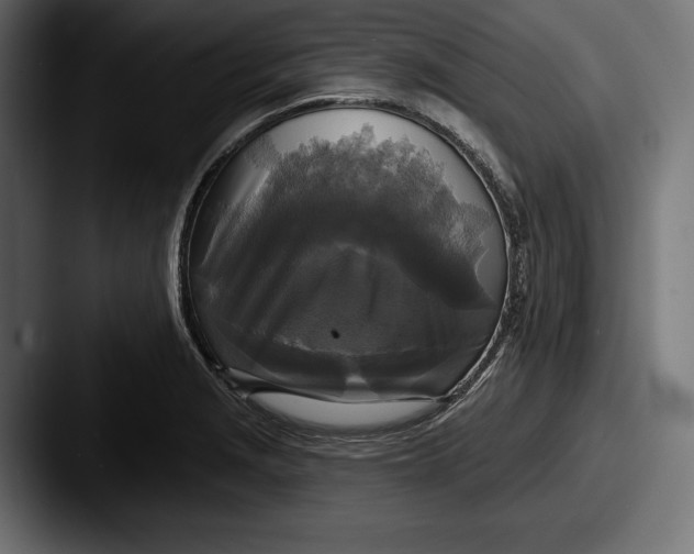 X0000087511229200705180948