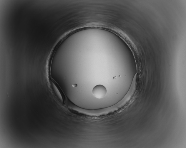 X0000087511230200705180948
