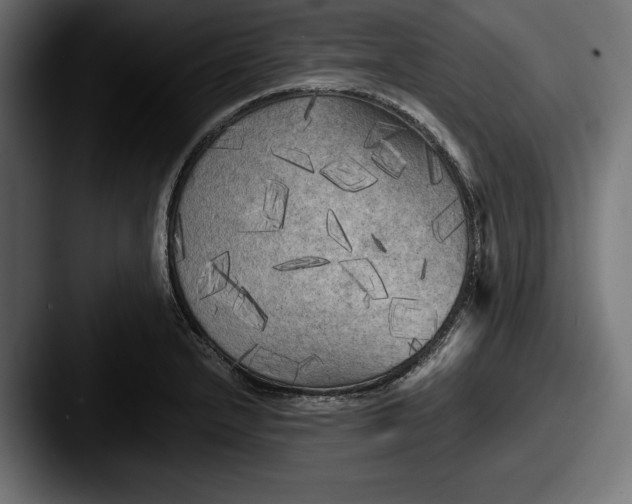 X0000087511232200705180948