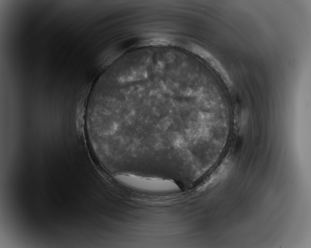 X0000087511233200705180948