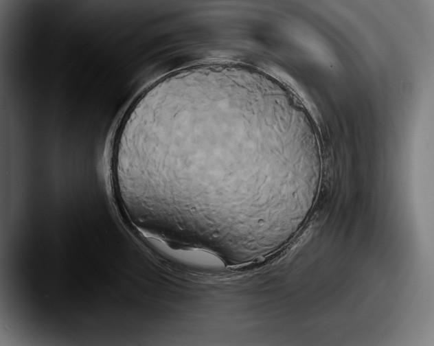 X0000087511235200705180948