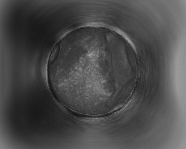 X0000087511237200705180948