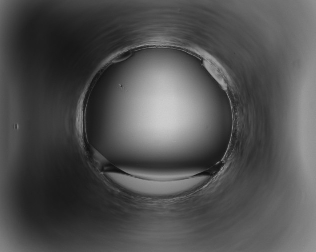 X0000087511238200705180948