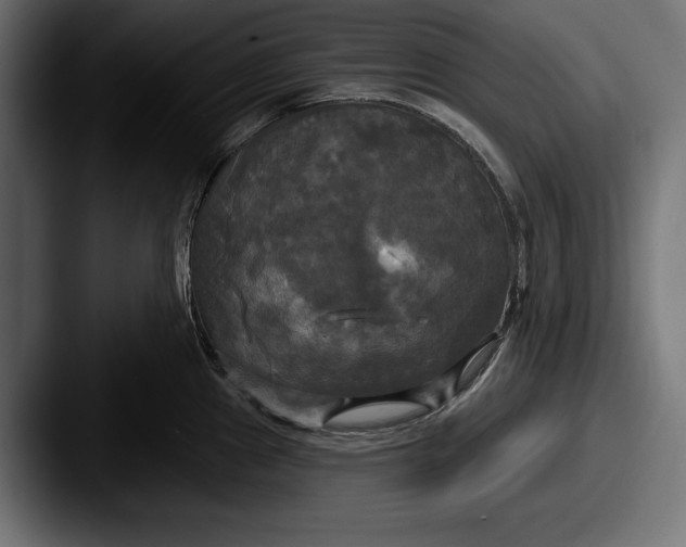X0000087511241200705180949