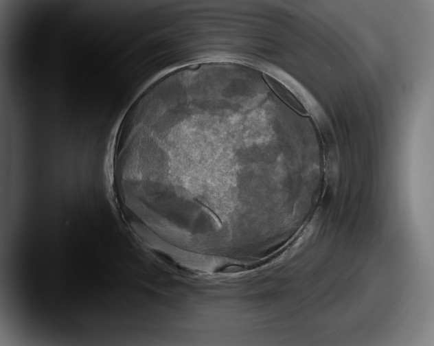 X0000087511244200705180949