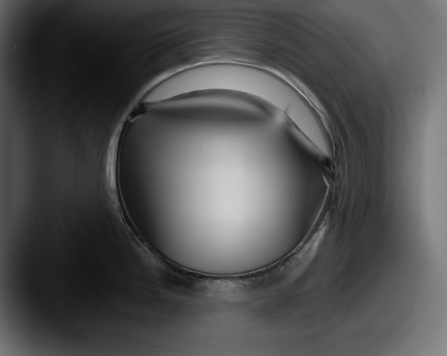 X0000087511246200705180949