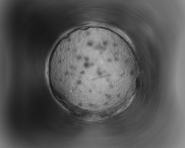 X0000087511247200705180949