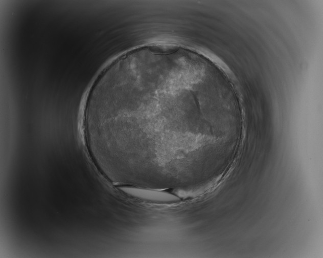 X0000087511248200705180949