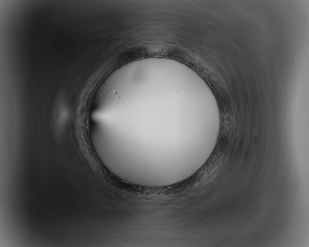 X0000087511249200705180948
