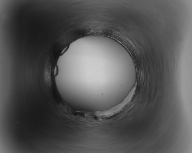 X0000087511250200705180948