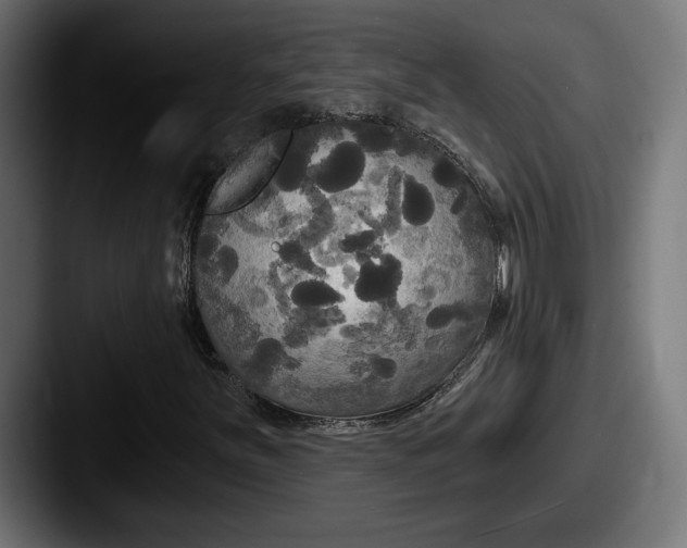 X0000087511251200705180948