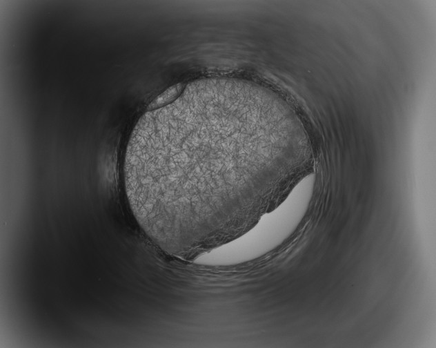 X0000087511252200705180948
