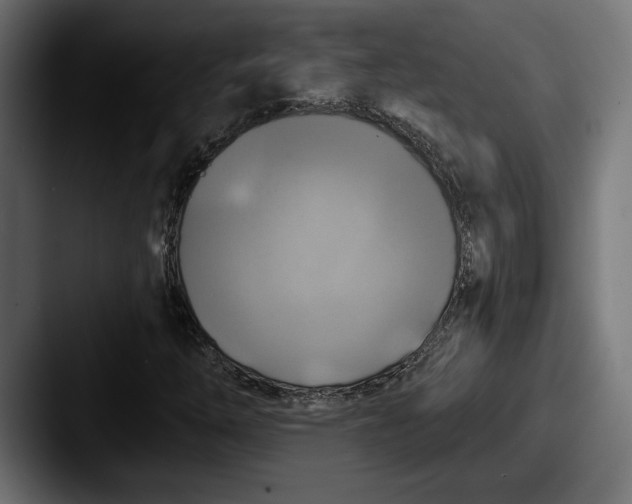 X0000087511254200705180948
