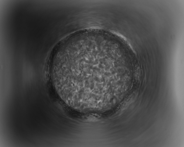 X0000087511255200705180948