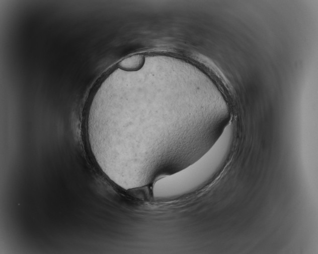 X0000087511260200705180948