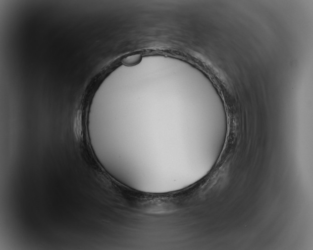 X0000087511262200705180948