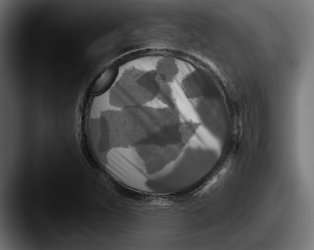 X0000087511263200705180948