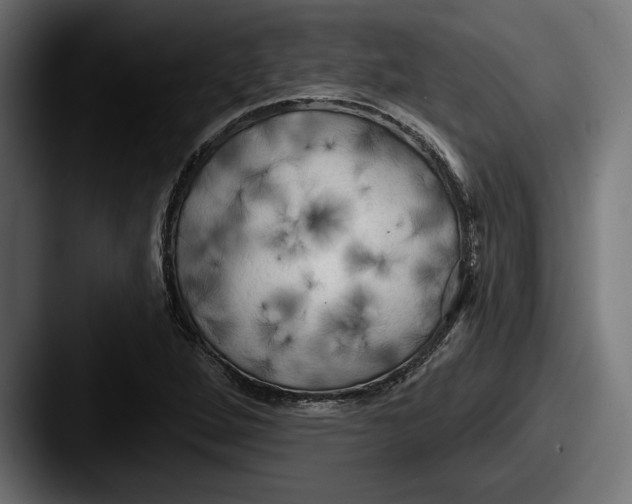X0000087511264200705180948