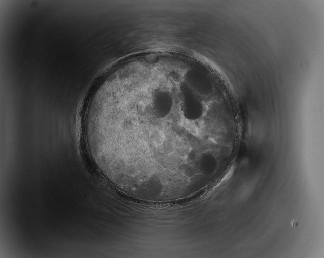 X0000087511267200705180948