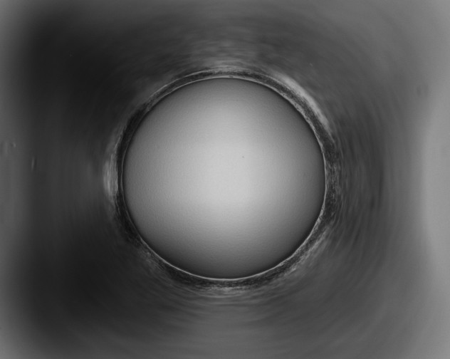 X0000087511269200705180948
