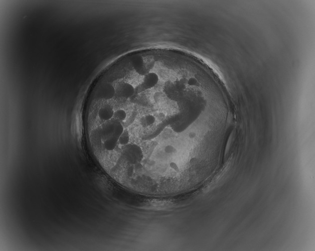 X0000087511271200705180948