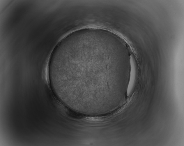 X0000087511272200705180948