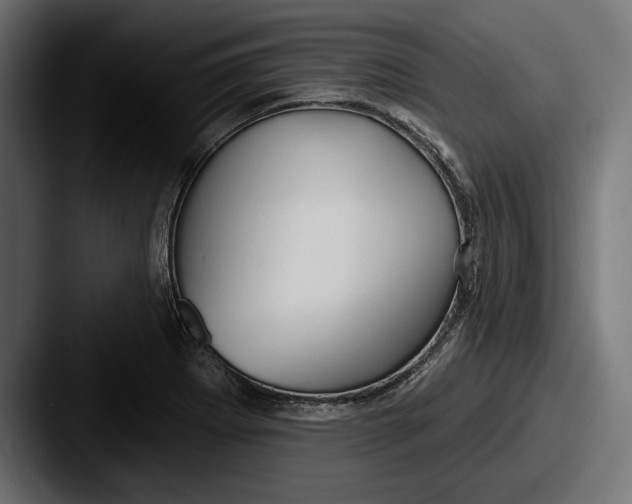 X0000087511273200705180948
