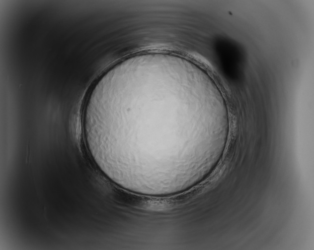 X0000087511274200705180948