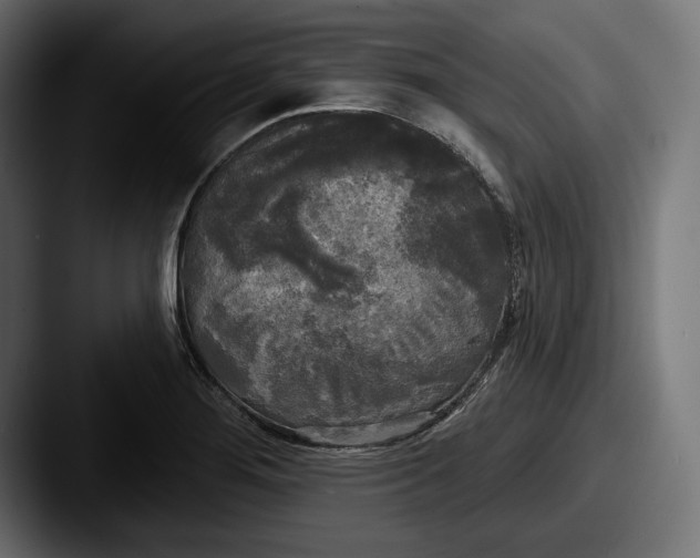 X0000087511276200705180948