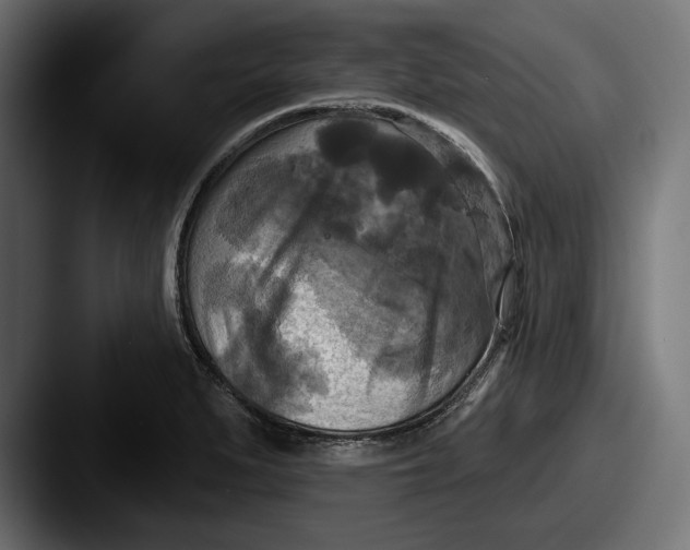 X0000087511279200705180948