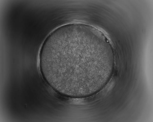 X0000087511280200705180948