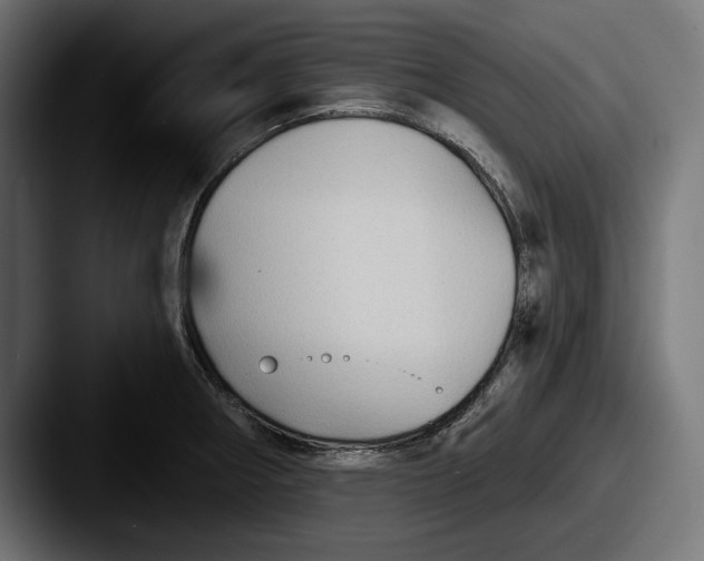 X0000087511282200705180948