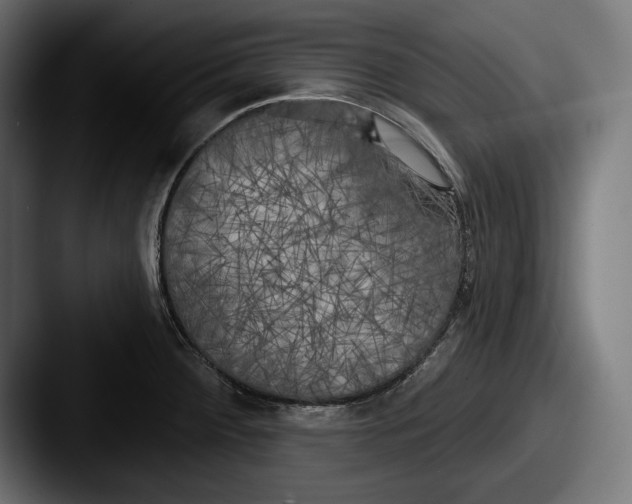 X0000087511284200705180948