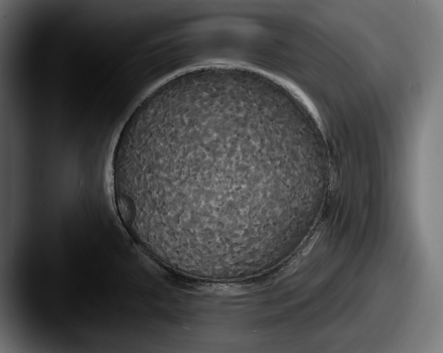 X0000087511287200705180948