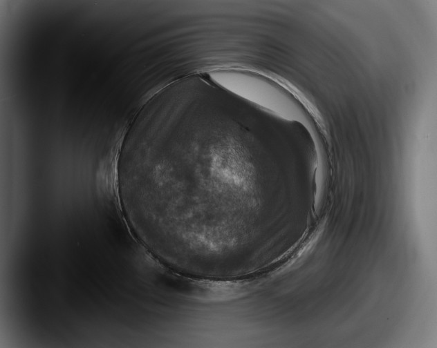X0000087511289200705180948