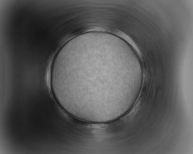 X0000087511290200705180948
