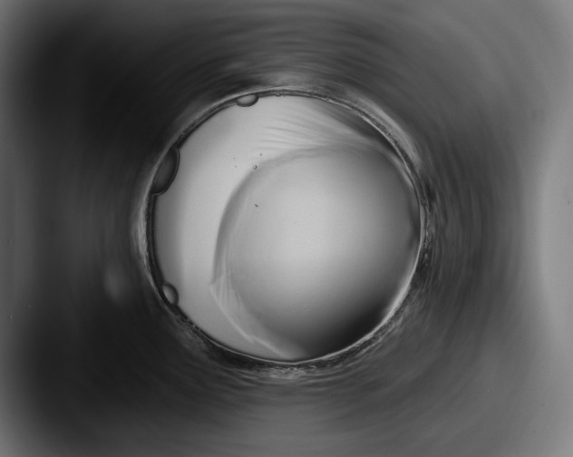 X0000087511291200705180948