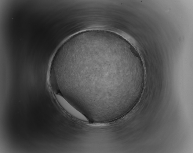 X0000087511296200705180947