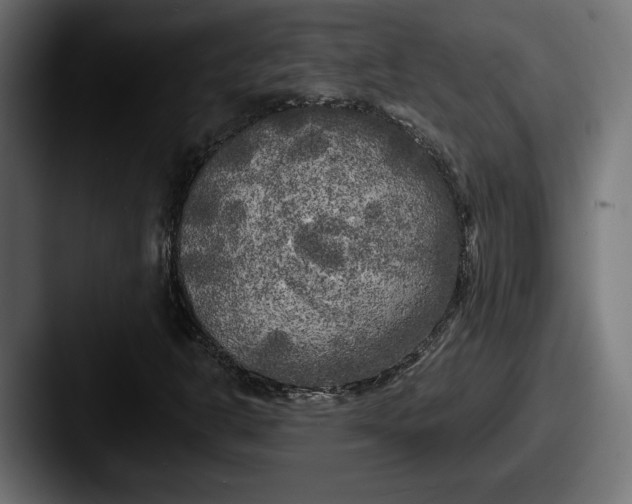 X0000087511302200705180947