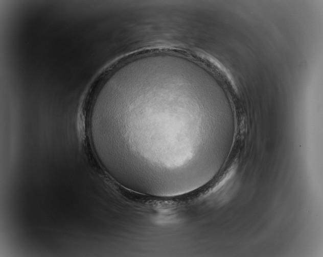 X0000087511310200705180947