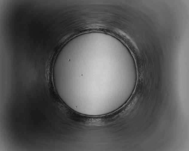 X0000087511313200705180947