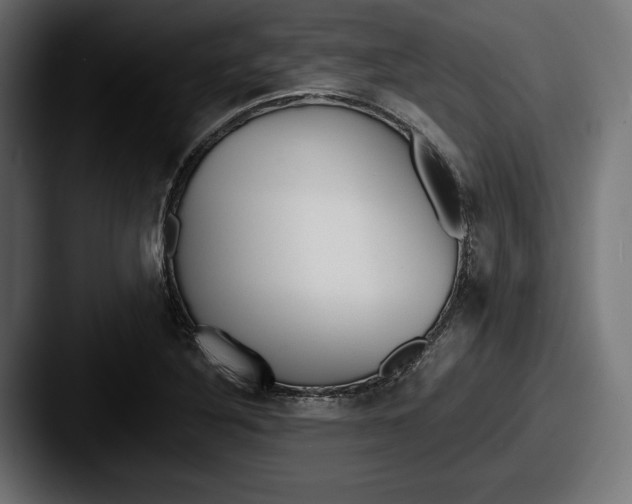 X0000087511316200705180947