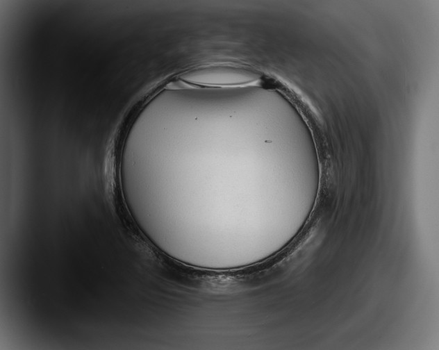 X0000087511317200705180947