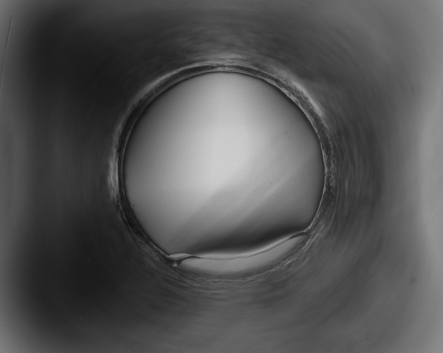 X0000087511320200705180947