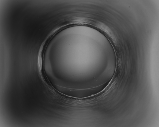 X0000087511323200705180947