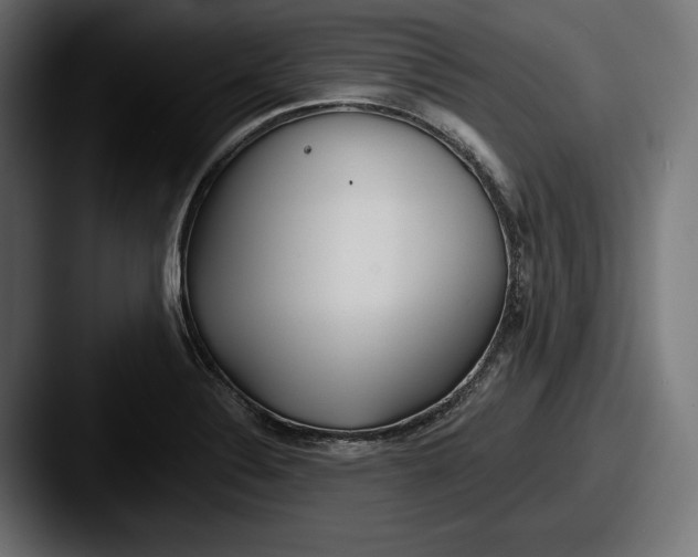 X0000087511324200705180947